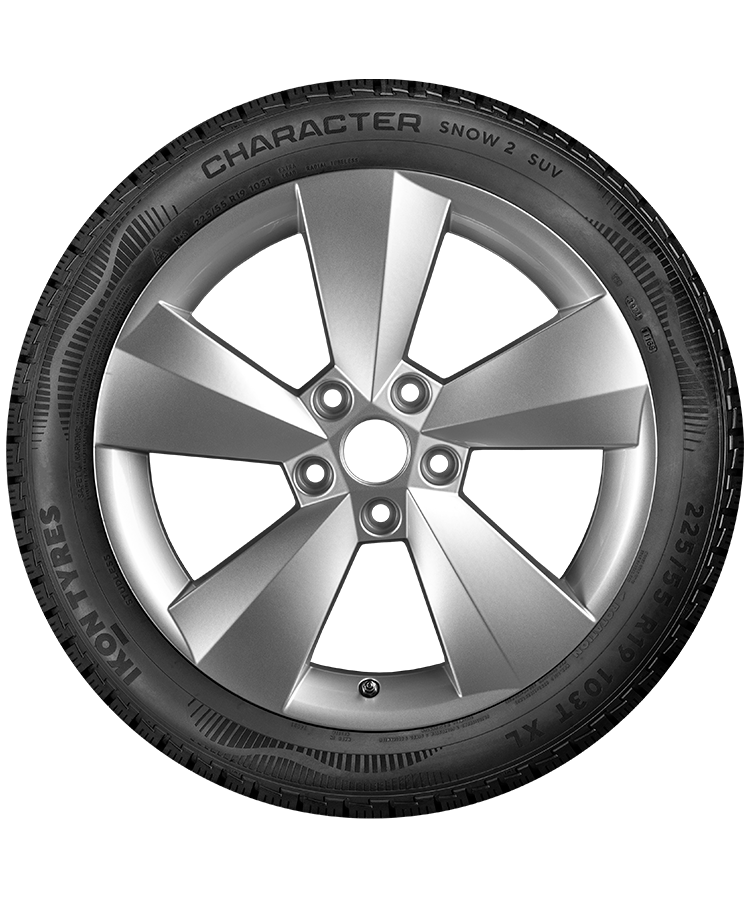 Ikon (Nokian Tyres) Character Snow 2 SUV 255/60 R18 112R (XL) заказать