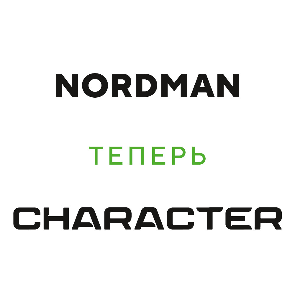Ikon (Nokian Tyres) Character Snow 2 SUV 255/60 R18 112R (XL) цена
